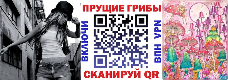 закладка  Донской  ОМГ ОМГ   Псилоцибиновые грибы ЛСД 
