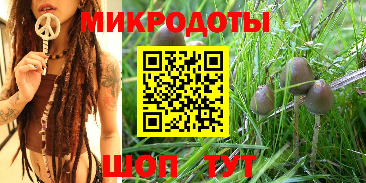 Галлюциногенные грибы прущие грибы  наркошоп  Донской  Вход с VPN 