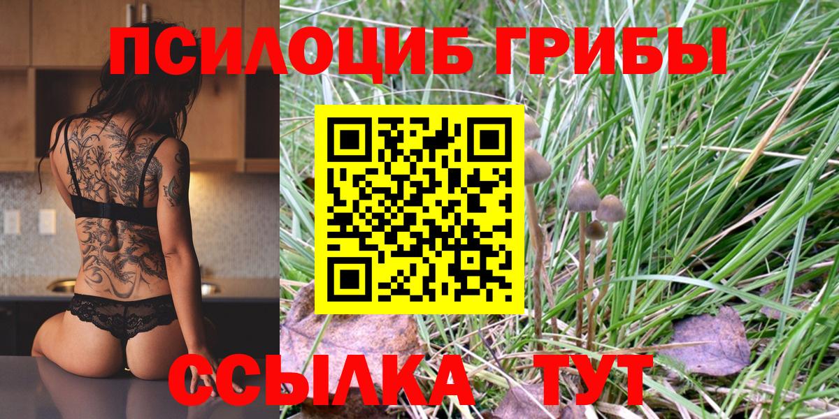 Галлюциногенные грибы Cubensis Донской